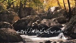 Quran Ayat ❤️  Video ✨