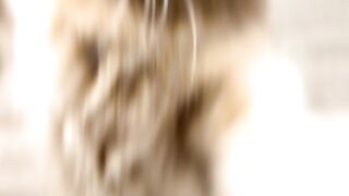 Funny cat movement