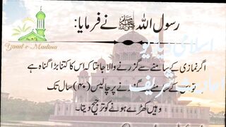 Ahdees sharif| video