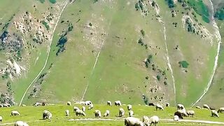 Tourism, Pakistan