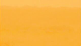 افتراس وصراع عنيف بين اسد ضد خنزير بري يهاجم خنزير نمر اسد فهد جاموس تمساح خنزير.