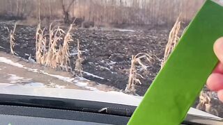 Viral Video #viralvideo #shorts #Reels