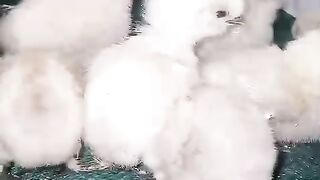 The green color plus white