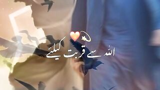 For Imran Khan lover