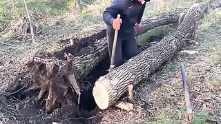 #bushcraft #camp #camping #build #building #primitive #shelter