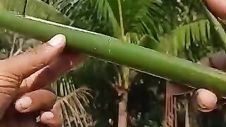 Learn a newly skill
