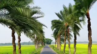 I am in love with nature