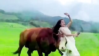 Funny videos
