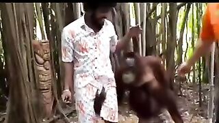 Funny animals