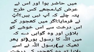 Ek arabi nabi saw ki khidmat me hazir huwa