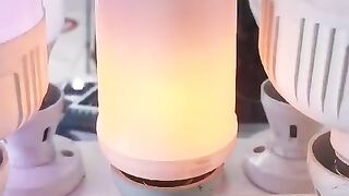 Fire lamp