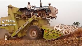 Funny video