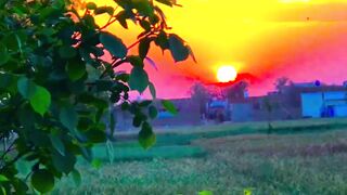 View sun