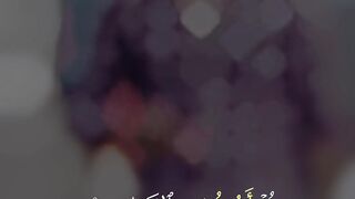 ❤️❤️???? Quran surat