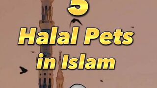 5 Halal Pets in ????