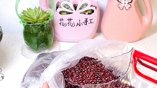 Plastic bottles turn waste into treasure flower pot tray