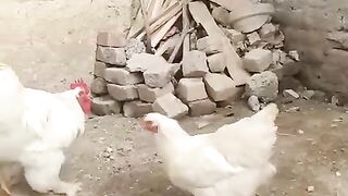 Where are you going ll look