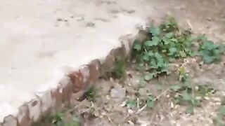 Green grass on the floor