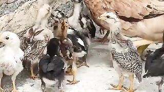 Mother and kids ll relationship