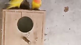 Out of the box