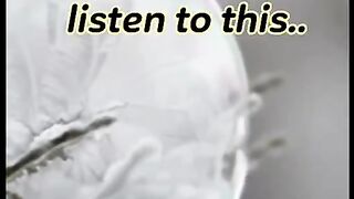 Listen
