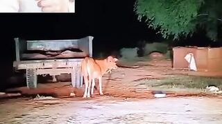 Bhoot  ne gai Ko aurat kar diya