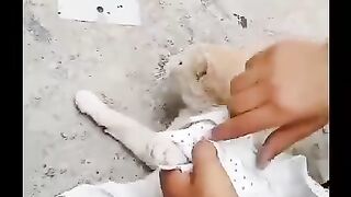 Little boy playing with cat animal lover