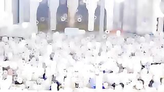 videos