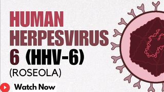 Human Herpes Virus 6 (HHV-6) - Replication, Mechanisms & Implications | Virology 101 Animated