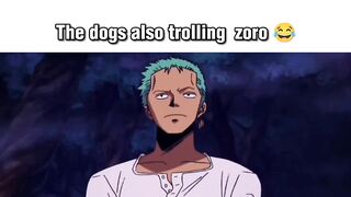 Sanji mocking zoro