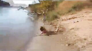 funny video
