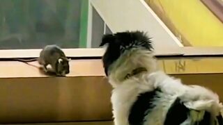 Fun and funny