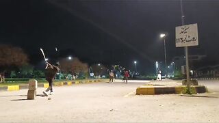 Night Cricket