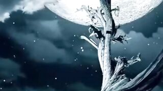 Night.dreem .nature beautiful dreem