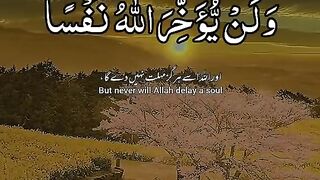 Professional Tilawat Quran Majeed