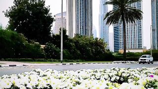 Beautyfull sity