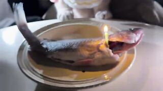 Cat birthday cake