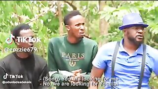 starling comedy