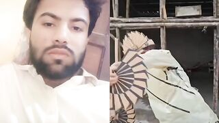 Sindhi Urdu gana