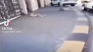 funny video