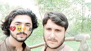 Pashto poetry lines