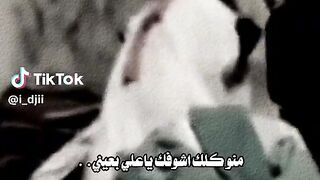تهدمت ولله اركان الهدى ياعلي