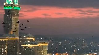 beautiful view