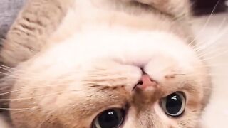 How cute is this? ????