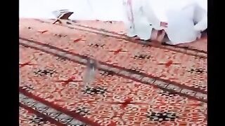 مقاطع مضحكة - فيديوهات مضحكة جداً