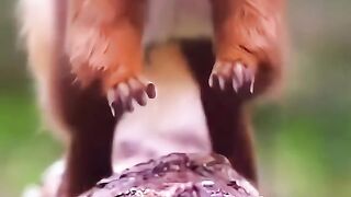 WATCH VIDEO AND EJOY OF MOMENTS
