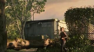 Ellie alone