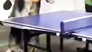 AMAZING FAILS IN THE WHOLE WORLD