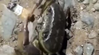এটা কি ছিলো????????????