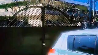 Tiktok video